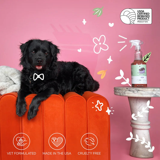 Kin+Kind Pet Pee + Stain + Odor Destroyer for Fabric & Carpet - Floral 32oz