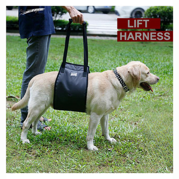 Dog Lift Support Harness