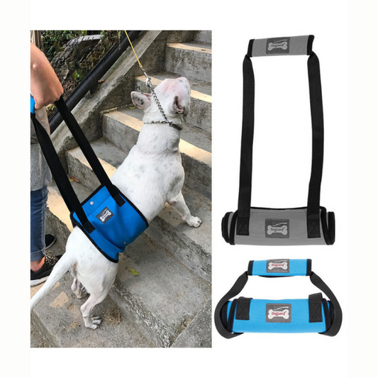 Dog Lift Support Harness