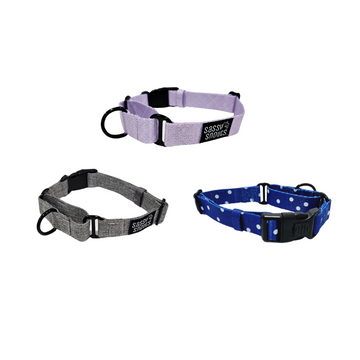 Sassy Snouts Classic Martingale Collar (Gen 2.0)