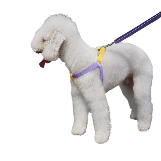 Picky Orange Step-in Y Dog Harness