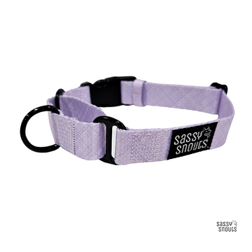 Sassy Snouts Classic Martingale Collar in Lilac (Gen 2.0)