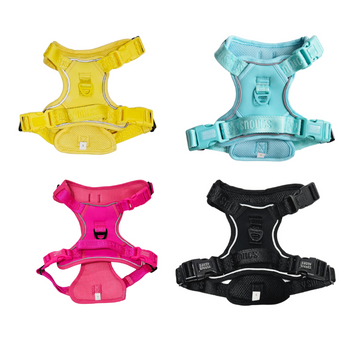 Sassy Snouts Signature Harness (Gen 2.0)