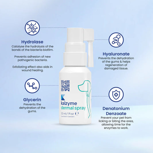 Kalzyme™ Dermal Spray 30ml