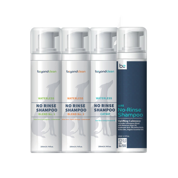 Beyond Clean No Rinse Shampoo Foam 200ml