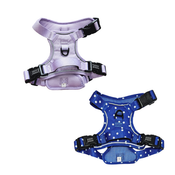 Sassy Snouts Classic Harness (Gen 2.0) - 2 Colors