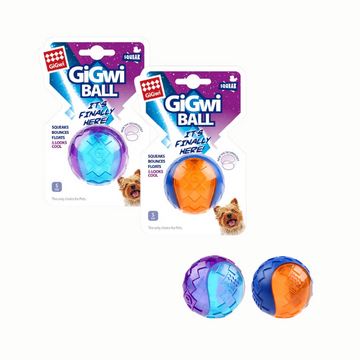 Gigwi Squeaky Ball Dog Toy