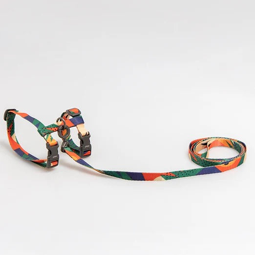 Pidan Harness & Leash Set for Cats
