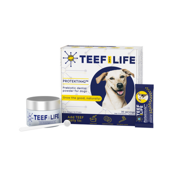 Teef! Protektin42 Prebiotic Dental Powder Dog Water Additive 30 Servings