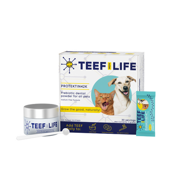 Teef! Protektin42+K Prebiotic Dental Powder + Kidney Care Cats & Dogs Water Additive 30 Servings