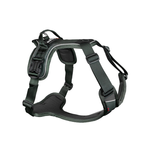 Non-Stop Ramble Harness