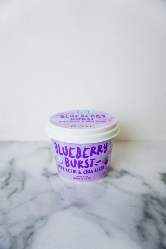Petcubes Ice Cream for Dogs & Cats - Blueberry Burst 3.5oz | Strawberry Paradise 3.5oz