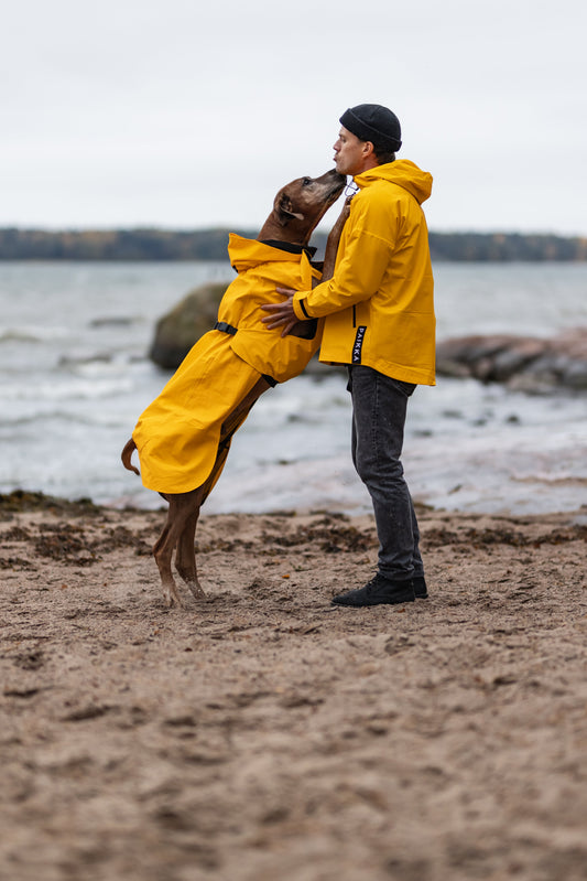 PAIKKA Visibility Raincoat Lite for Dogs in Yellow - Full Reflective Waterproof Dog Coat with Harness Opening