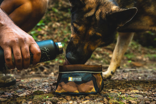 Ruffwear Quencher™ Collapsible Dog Bowl