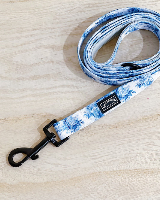 Pawrawrdise Enchanted Leash