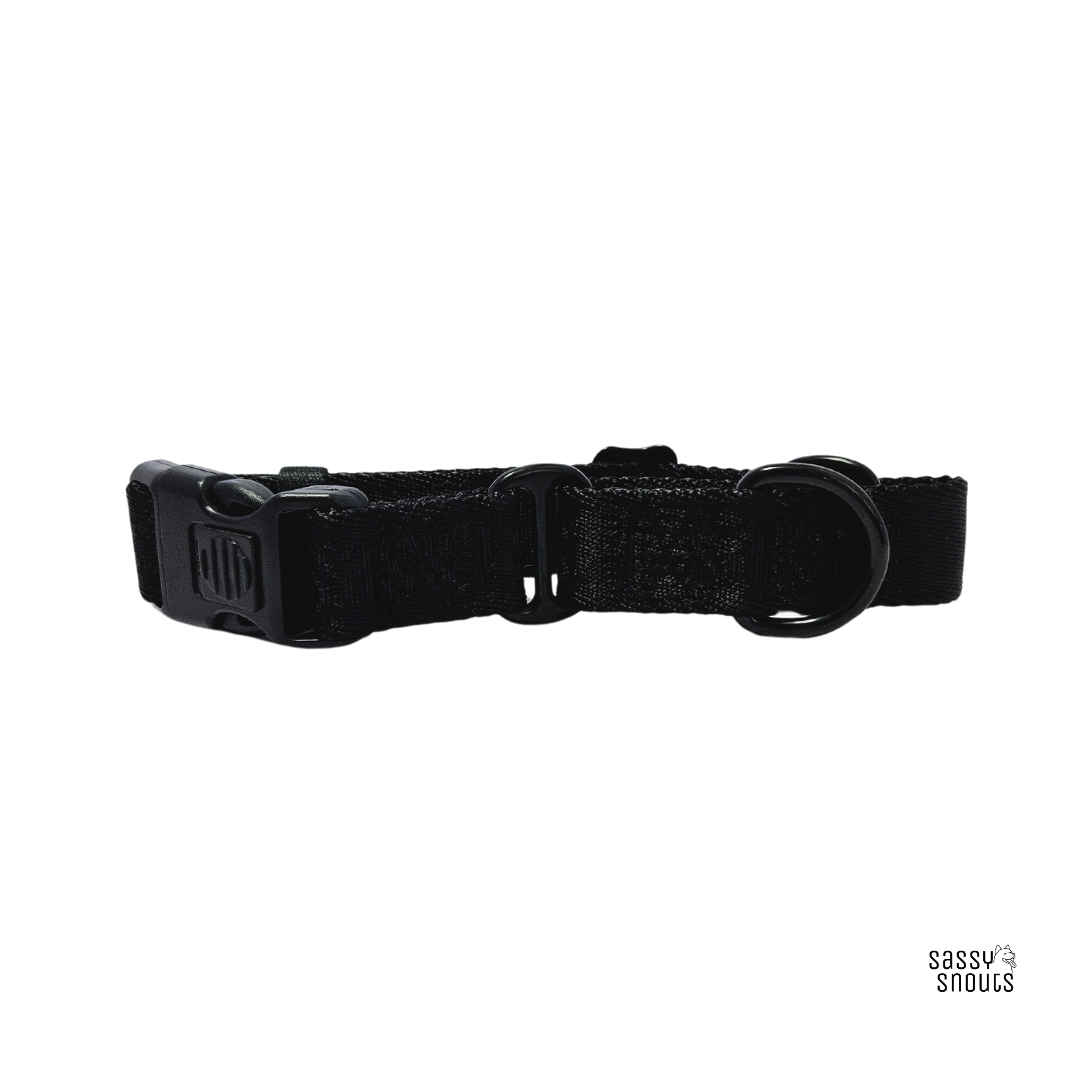 Signature Martingale Collar in Luxe Black (Gen 2.0)
