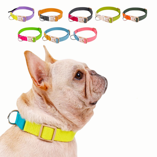 Ombre Dog Collar
