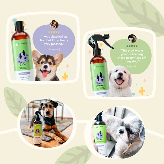 Kin+Kind Dog & Cat Flea + Tick Prevent! Protect Spray Lavender 12oz