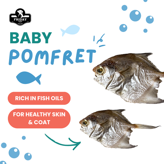 Whole dehydrated baby pomfret for dog and cat treats with benefits - rich in fish oils, for healthy skin & coat