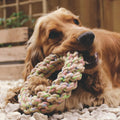 Beco Hemp Jungle Ring dog chew toy, large, natural hemp fibre lifestyle