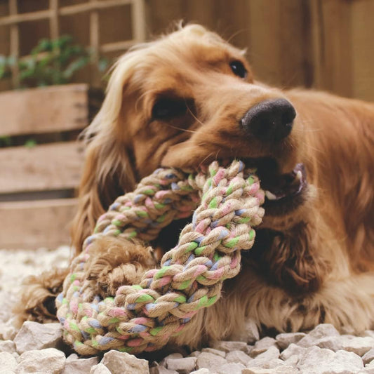 Beco Hemp Jungle Ring dog chew toy, large, natural hemp fibre lifestyle