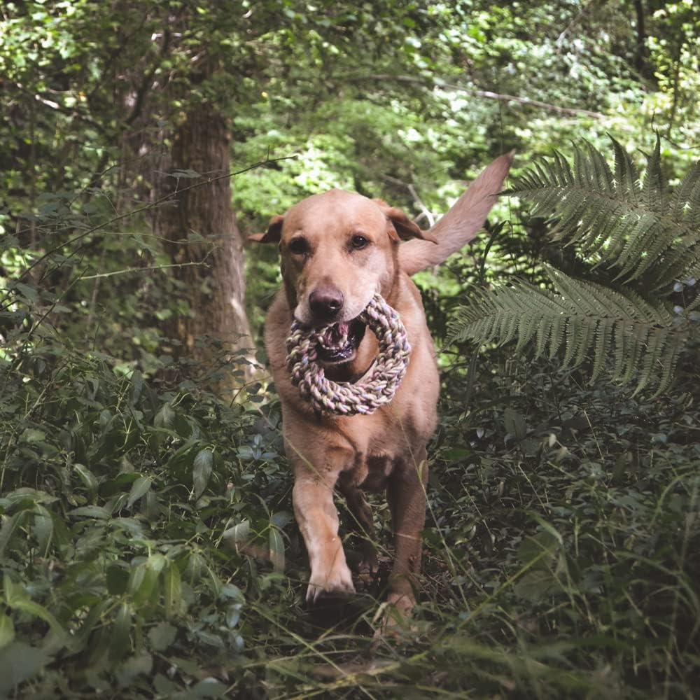 Beco Hemp Jungle Ring dog chew toy, large, natural hemp fibre lifestyle 2