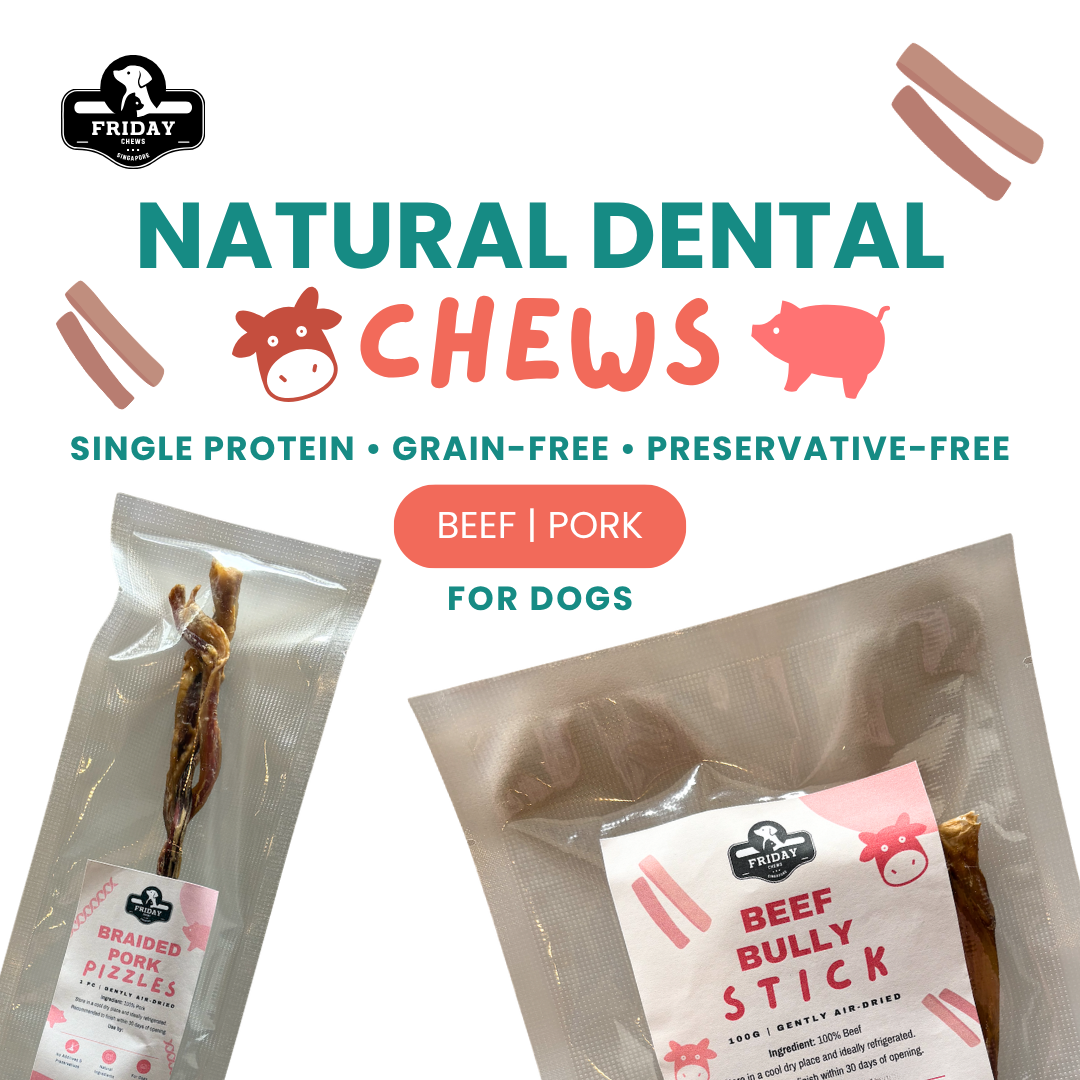 Single ingredient, dehydrated natural dental chews for dogs- beef and pork