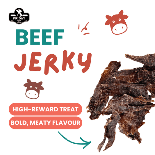 Duck Jerky 70g — single-ingredient dehydrated beef jerky treats for dogs and cat with benefits
