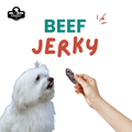 Dog looking at single-ingredient dehydrated beef jerky treats  