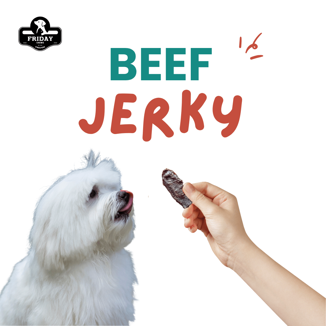 Dog looking at single-ingredient dehydrated beef jerky treats  