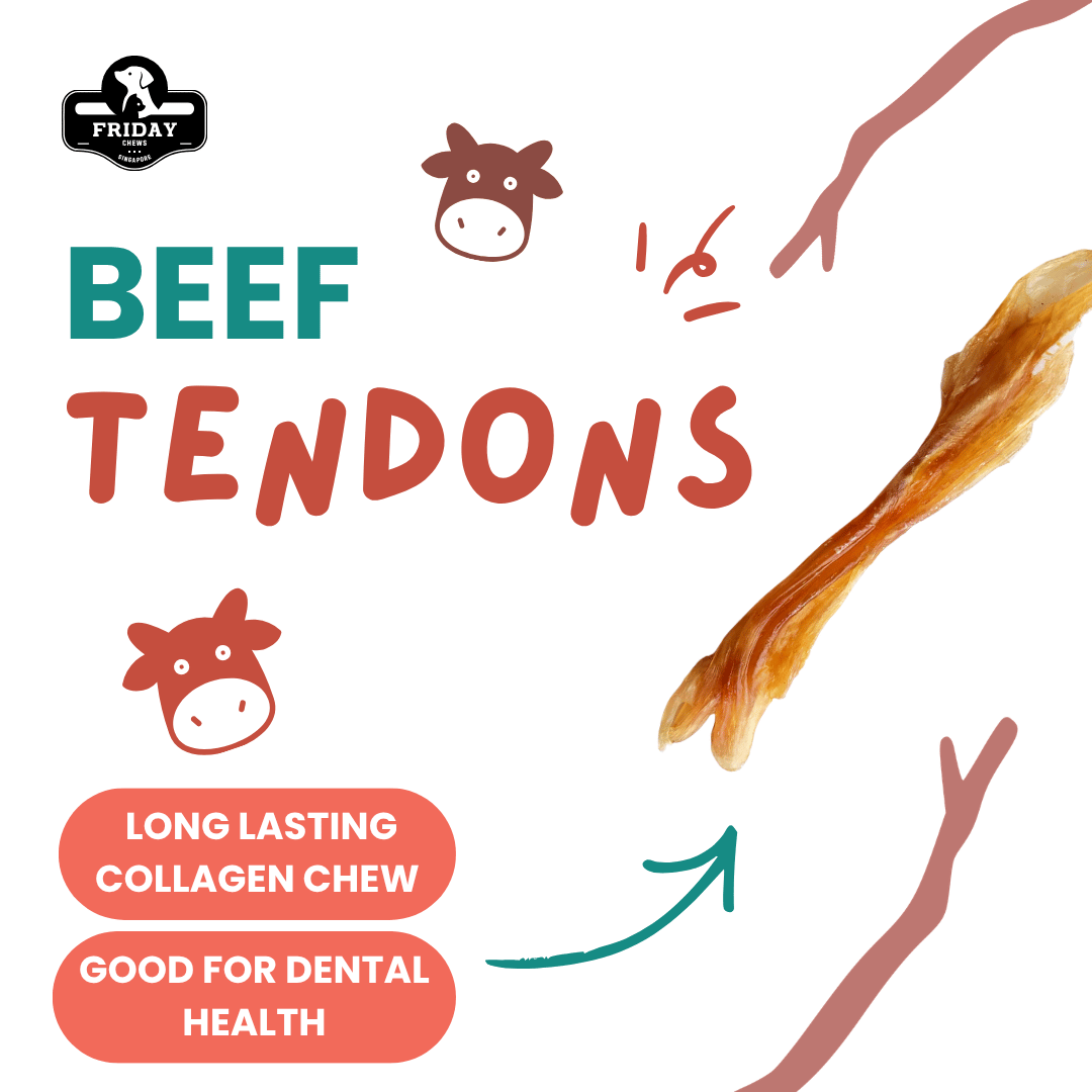 Single ingredient, dehydrated beef tendons with benefits - long lasting collagen and dental health