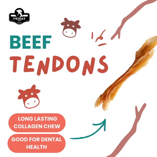 Single ingredient, dehydrated beef tendons with benefits - long lasting collagen and dental health