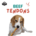 Dog eating a Friday Chew single ingredient beef tendon  