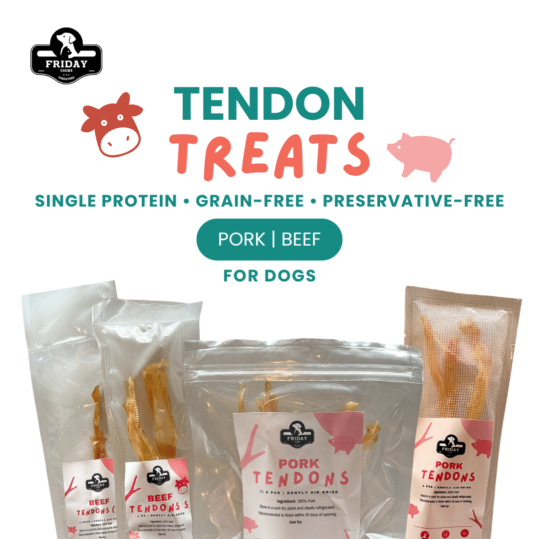 Tendon treats for dogs - beef and pork