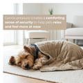 Aurea Weighted Calming Blanket with benefits