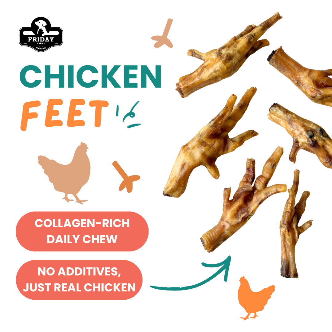 Friday Chews Dehydrated Chicken Feet benefits - collagen-rich daily chews and no additives  