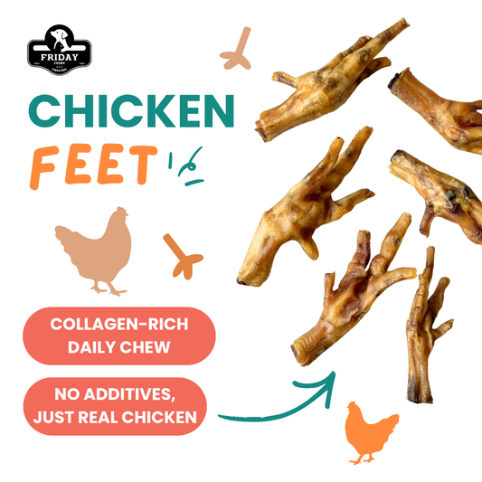 Friday Chews Dehydrated Chicken Feet benefits - collagen-rich daily chews and no additives  