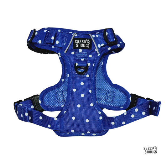 Sassy Snouts Classic Harness in Whimsical Royal (Gen 2.0)
