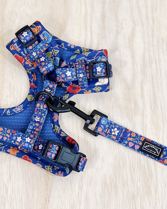 Pawrawrdise Caddy Leash