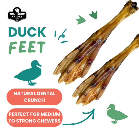 Dehydrated whole duck feet dog chew treats with benefits