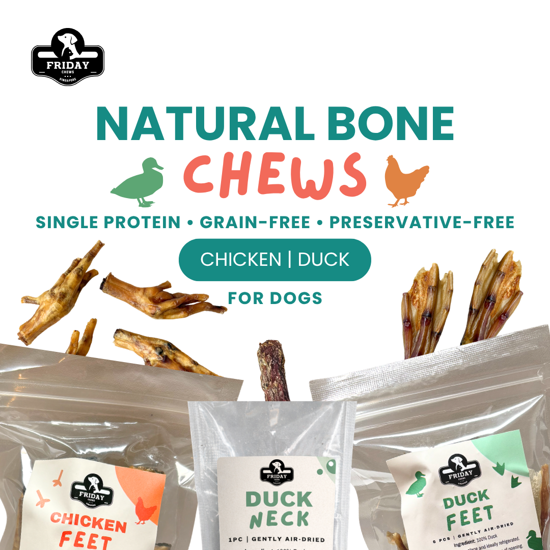 Natural dehydrated bone chews for dogs - chicken and duck