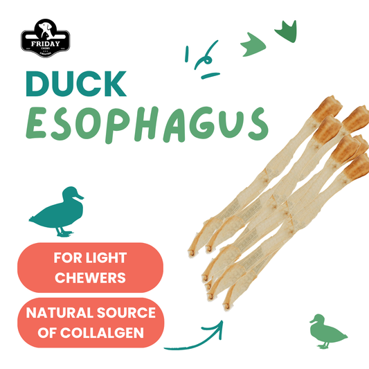 Friday Chews Dehydrated Duck Esophagus for Dogs ingredient 