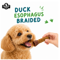 Dog eating Friday Chews Dehydrated Duck Esophagus Braided 2pc natural dehydrated treat
