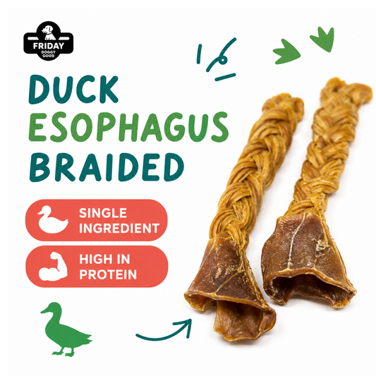 Friday Chews Dehydrated Duck Esophagus Braided 2pc with benefits