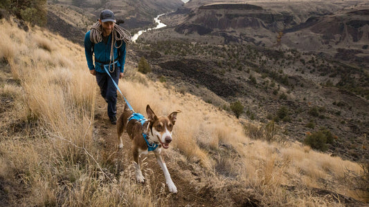 Ruffwear Flagline™ Lightweight Leash