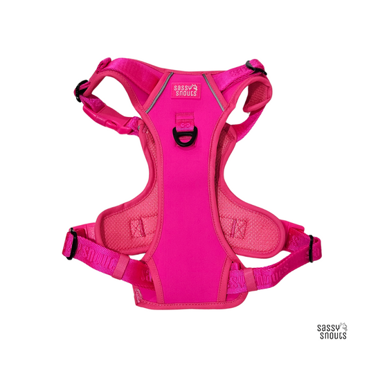 Sassy Snouts Signature Harness in Flamingo (Gen 2.0)