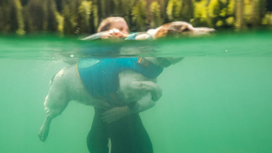 Ruffwear Float Coat™ Dog Lifejacket