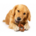 Dog enjoying Friday Chews Dehydrated Frog Legs 