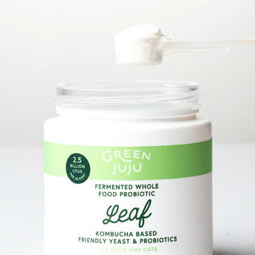 Green Juju Leaf Fermented Kombucha-Based Probiotic Supplement 30g for dogs and cats