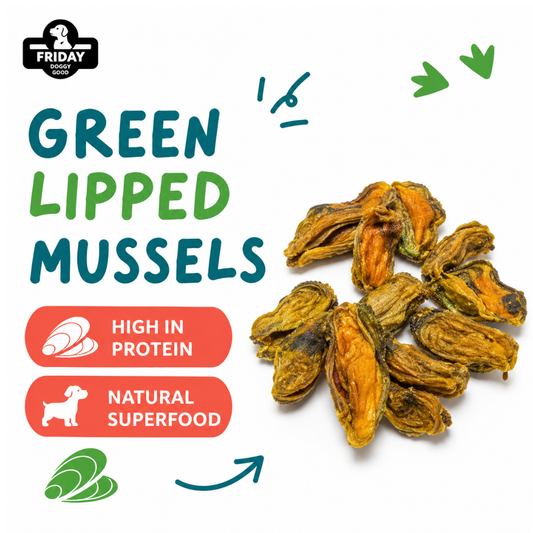 Friday Chews Green Lipped Mussels for Dogs ingredient image